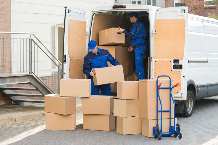 moving & packing guides
